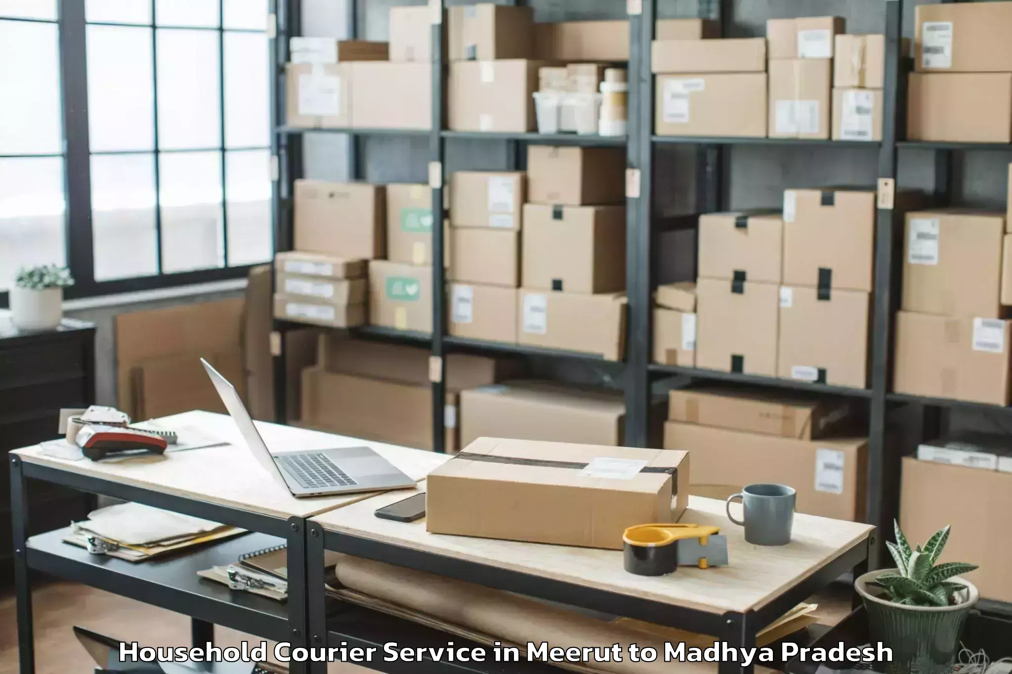 Book Meerut to Kasrawad Household Courier